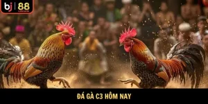 đá gà c3 hôm nay